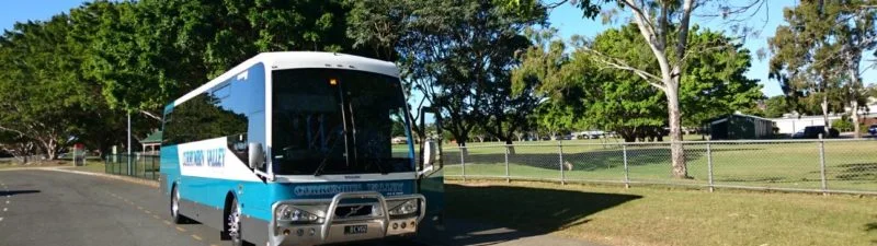 Schoolbus 800x225