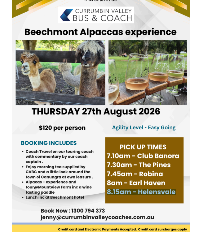 Beechmont Alpaccas Experience